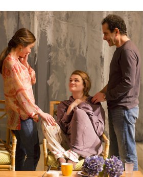 Diane Lane, Gayle Rankin, and Tony Shalhoub in THE MYSTERY OF LOVE & SEX. Photo by T. Charles Erickson.