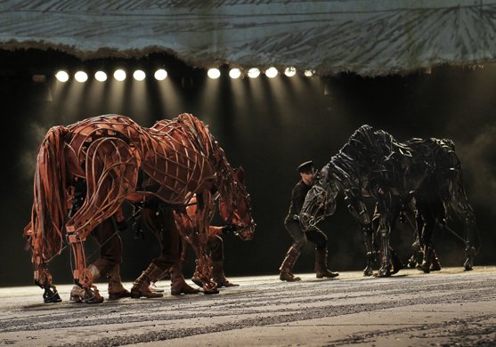 The company of War Horse
